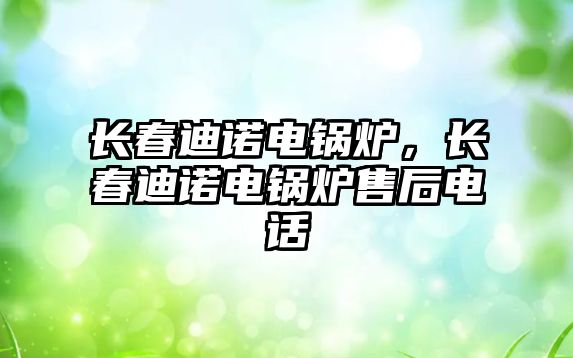 長春迪諾電鍋爐，長春迪諾電鍋爐售后電話