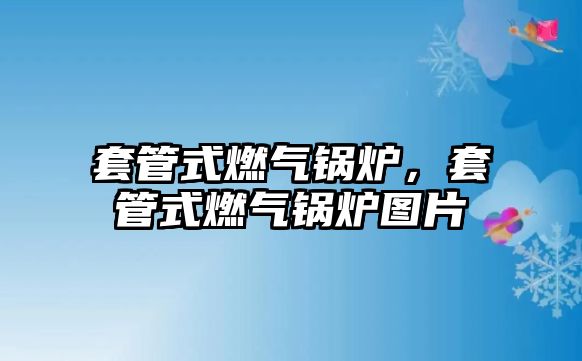 套管式燃氣鍋爐，套管式燃氣鍋爐圖片