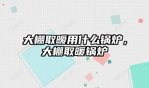 大棚取曖用什么鍋爐，大棚取暖鍋爐