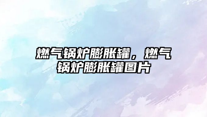 燃?xì)忮仩t膨脹罐，燃?xì)忮仩t膨脹罐圖片