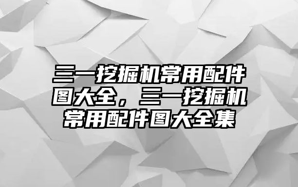 三一挖掘機(jī)常用配件圖大全，三一挖掘機(jī)常用配件圖大全集