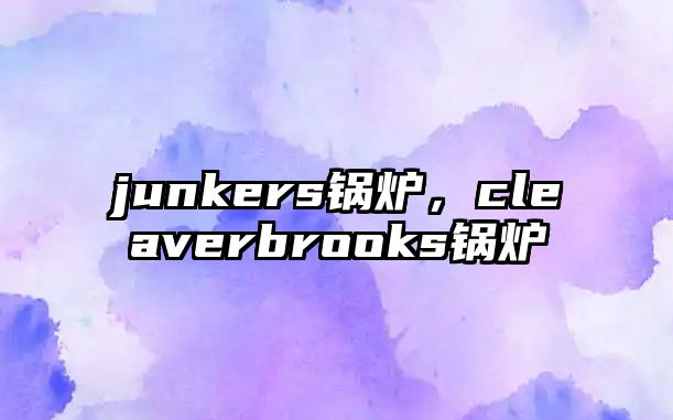 junkers鍋爐，cleaverbrooks鍋爐