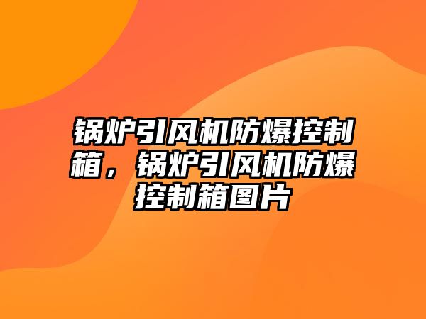 鍋爐引風機防爆控制箱，鍋爐引風機防爆控制箱圖片