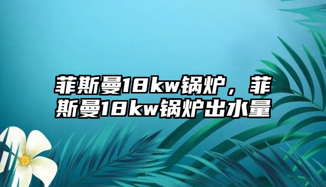 菲斯曼18kw鍋爐，菲斯曼18kw鍋爐出水量