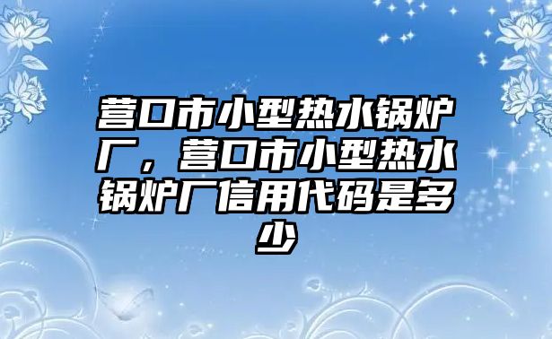 營口市小型熱水鍋爐廠，營口市小型熱水鍋爐廠信用代碼是多少