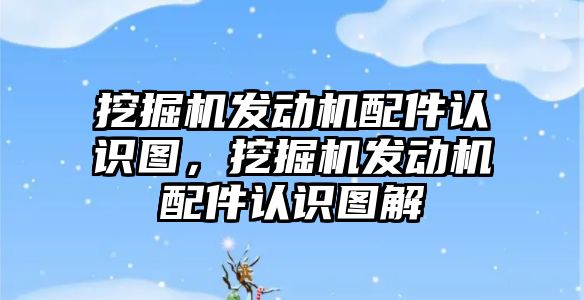 挖掘機發(fā)動機配件認識圖，挖掘機發(fā)動機配件認識圖解