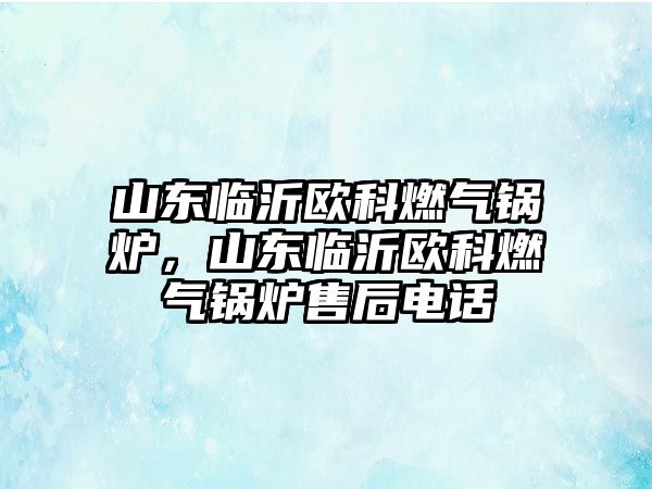 山東臨沂歐科燃?xì)忮仩t，山東臨沂歐科燃?xì)忮仩t售后電話