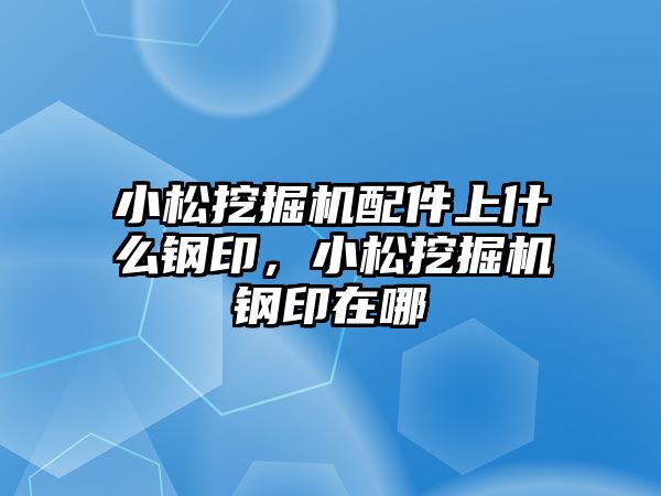 小松挖掘機配件上什么鋼印，小松挖掘機鋼印在哪