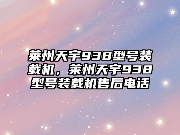 萊州天宇938型號裝載機(jī)，萊州天宇938型號裝載機(jī)售后電話