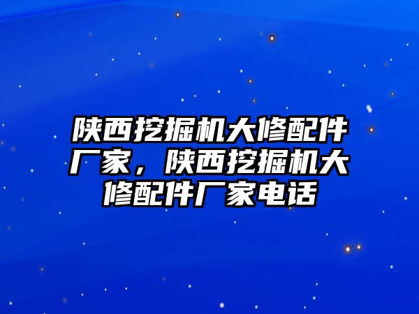 陜西挖掘機大修配件廠家，陜西挖掘機大修配件廠家電話