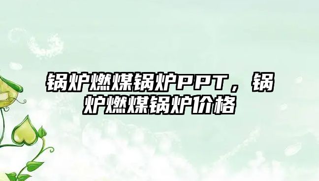 鍋爐燃煤鍋爐PPT，鍋爐燃煤鍋爐價(jià)格