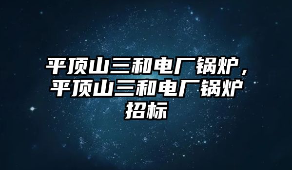 平頂山三和電廠鍋爐，平頂山三和電廠鍋爐招標(biāo)