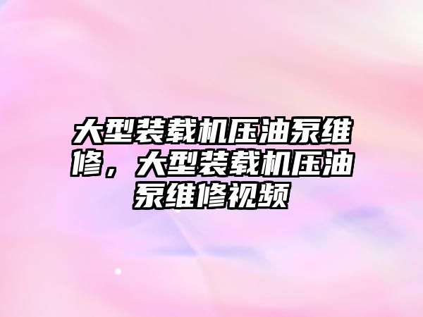 大型裝載機壓油泵維修，大型裝載機壓油泵維修視頻