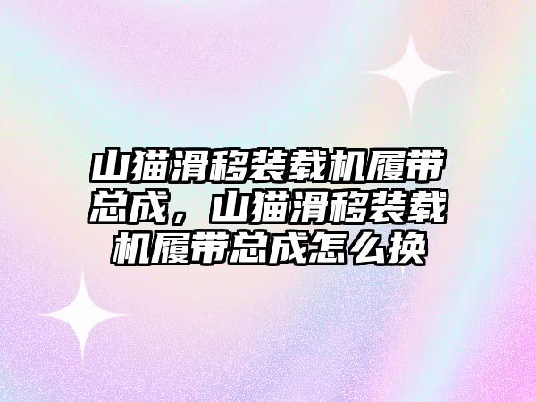 山貓滑移裝載機履帶總成，山貓滑移裝載機履帶總成怎么換