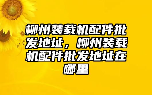 柳州裝載機(jī)配件批發(fā)地址，柳州裝載機(jī)配件批發(fā)地址在哪里