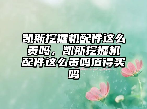 凱斯挖掘機配件這么貴嗎，凱斯挖掘機配件這么貴嗎值得買嗎