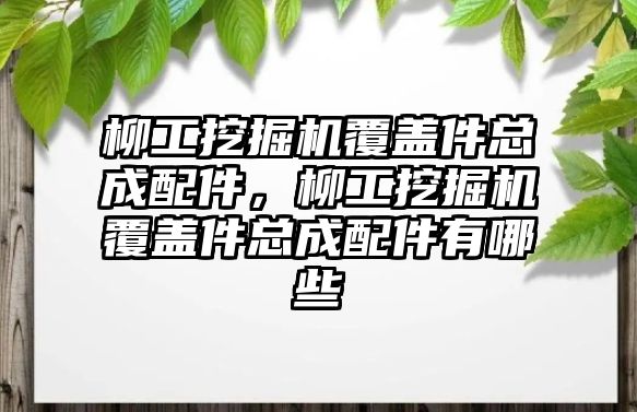 柳工挖掘機(jī)覆蓋件總成配件，柳工挖掘機(jī)覆蓋件總成配件有哪些