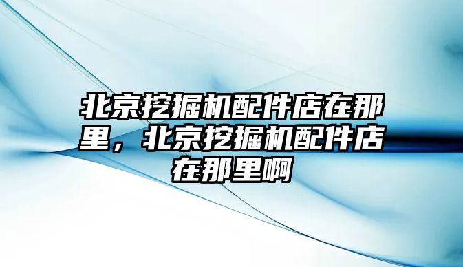 北京挖掘機(jī)配件店在那里，北京挖掘機(jī)配件店在那里啊