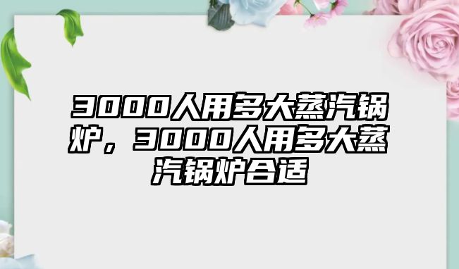 3000人用多大蒸汽鍋爐，3000人用多大蒸汽鍋爐合適