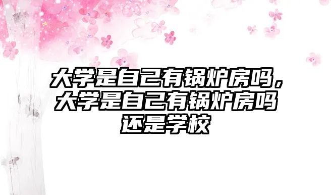 大學(xué)是自己有鍋爐房嗎，大學(xué)是自己有鍋爐房嗎還是學(xué)校