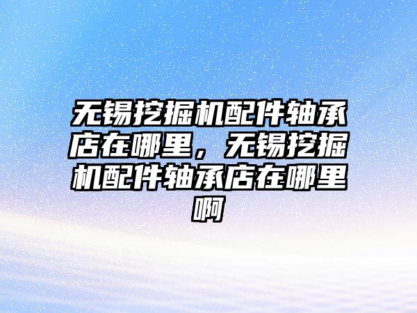 無錫挖掘機配件軸承店在哪里，無錫挖掘機配件軸承店在哪里啊