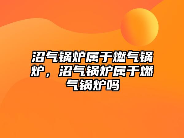 沼氣鍋爐屬于燃?xì)忮仩t，沼氣鍋爐屬于燃?xì)忮仩t嗎