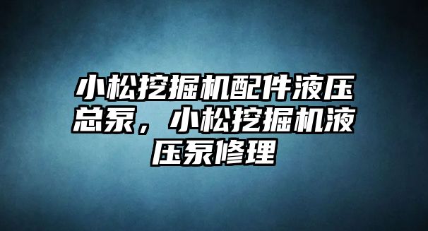 小松挖掘機配件液壓總泵，小松挖掘機液壓泵修理