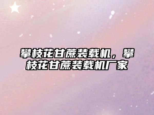 攀枝花甘蔗裝載機，攀枝花甘蔗裝載機廠家