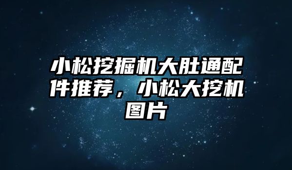 小松挖掘機大肚通配件推薦，小松大挖機圖片