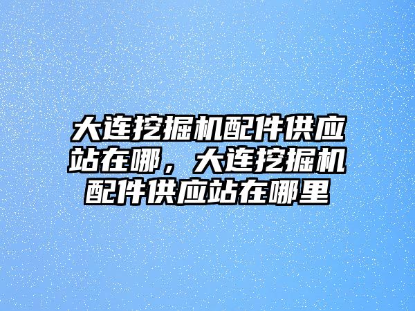 大連挖掘機(jī)配件供應(yīng)站在哪，大連挖掘機(jī)配件供應(yīng)站在哪里