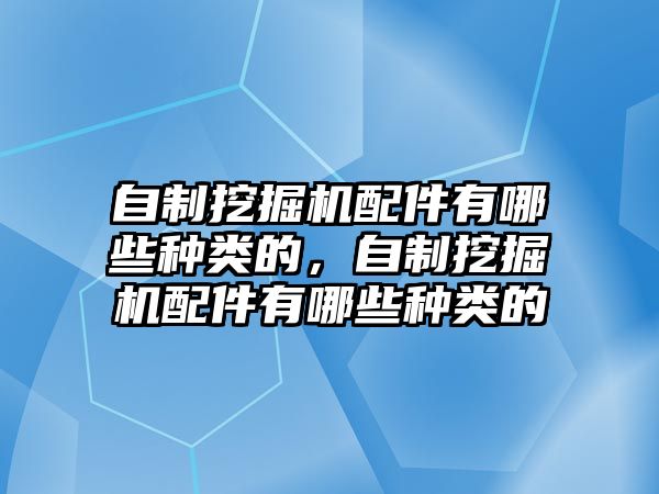 自制挖掘機(jī)配件有哪些種類的，自制挖掘機(jī)配件有哪些種類的