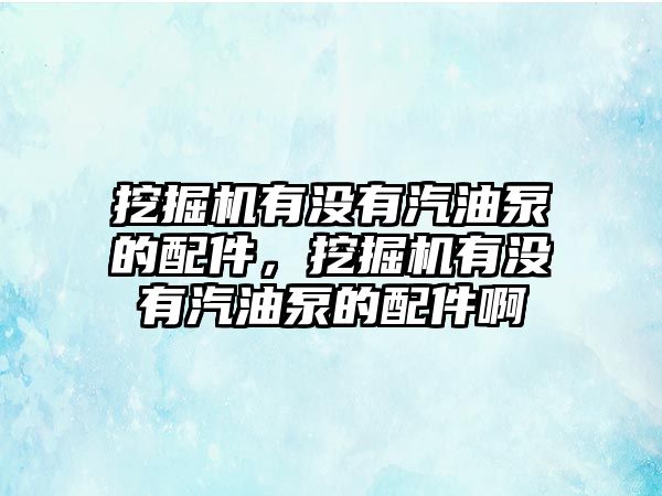 挖掘機有沒有汽油泵的配件，挖掘機有沒有汽油泵的配件啊