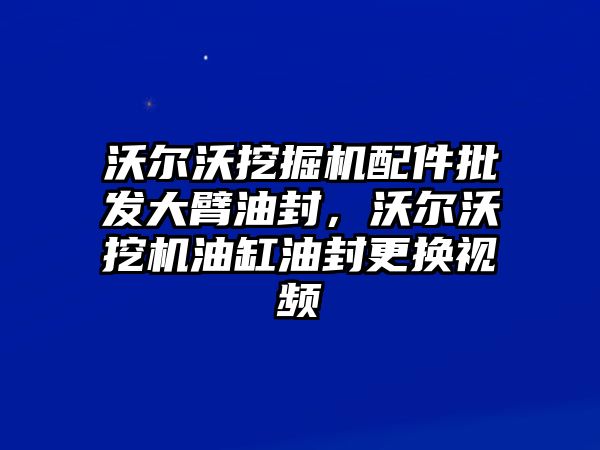 沃爾沃挖掘機(jī)配件批發(fā)大臂油封，沃爾沃挖機(jī)油缸油封更換視頻