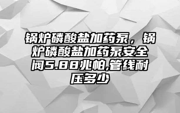 鍋爐磷酸鹽加藥泵，鍋爐磷酸鹽加藥泵安全閥5.88兆帕,管線耐壓多少