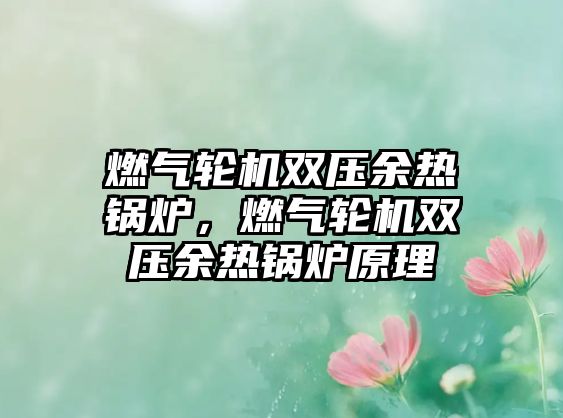 燃?xì)廨啓C(jī)雙壓余熱鍋爐，燃?xì)廨啓C(jī)雙壓余熱鍋爐原理