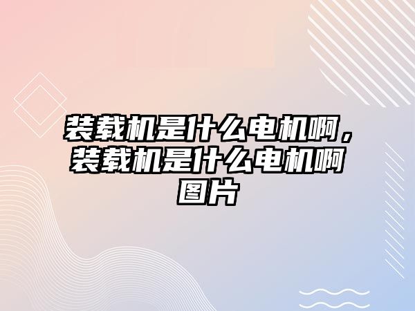 裝載機是什么電機啊，裝載機是什么電機啊圖片