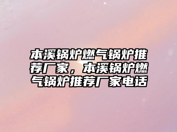 本溪鍋爐燃?xì)忮仩t推薦廠家，本溪鍋爐燃?xì)忮仩t推薦廠家電話