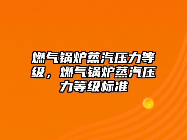 燃?xì)忮仩t蒸汽壓力等級(jí)，燃?xì)忮仩t蒸汽壓力等級(jí)標(biāo)準(zhǔn)