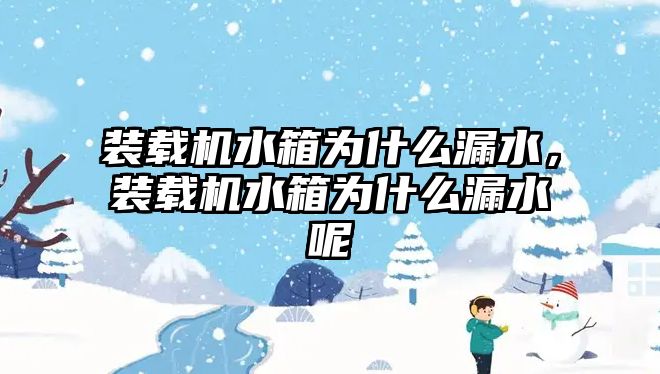 裝載機水箱為什么漏水，裝載機水箱為什么漏水呢