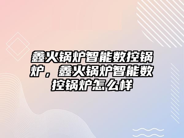 鑫火鍋爐智能數(shù)控鍋爐，鑫火鍋爐智能數(shù)控鍋爐怎么樣