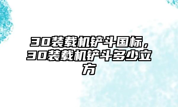 30裝載機鏟斗國標，30裝載機鏟斗多少立方