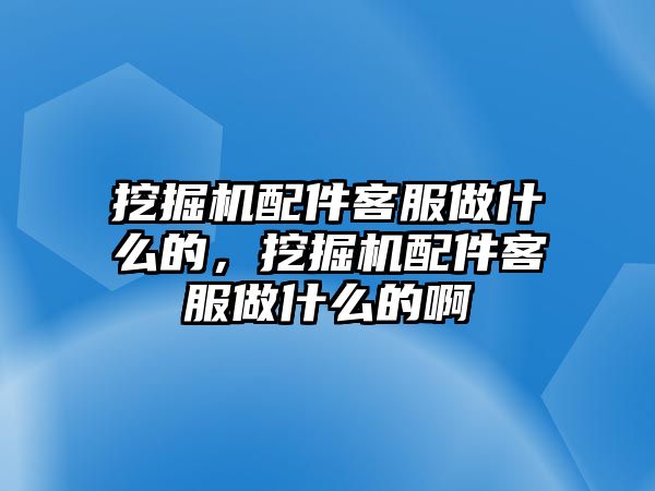 挖掘機配件客服做什么的，挖掘機配件客服做什么的啊