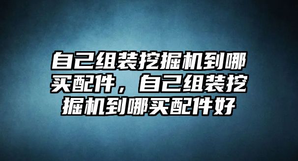 自己組裝挖掘機(jī)到哪買(mǎi)配件，自己組裝挖掘機(jī)到哪買(mǎi)配件好