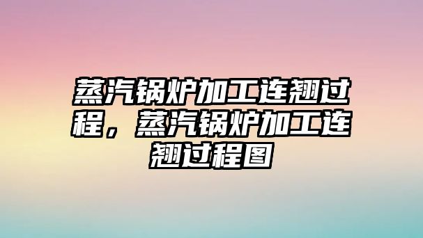 蒸汽鍋爐加工連翹過(guò)程，蒸汽鍋爐加工連翹過(guò)程圖