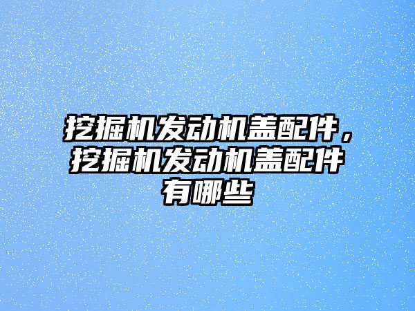 挖掘機(jī)發(fā)動(dòng)機(jī)蓋配件，挖掘機(jī)發(fā)動(dòng)機(jī)蓋配件有哪些