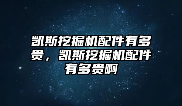 凱斯挖掘機(jī)配件有多貴，凱斯挖掘機(jī)配件有多貴啊