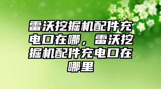 雷沃挖掘機(jī)配件充電口在哪，雷沃挖掘機(jī)配件充電口在哪里