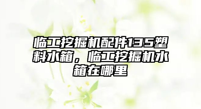 臨工挖掘機(jī)配件135塑料水箱，臨工挖掘機(jī)水箱在哪里