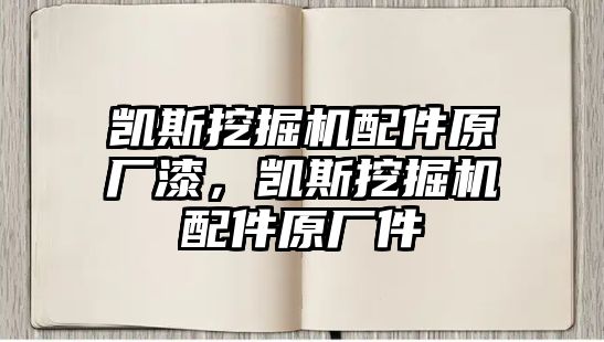 凱斯挖掘機配件原廠漆，凱斯挖掘機配件原廠件