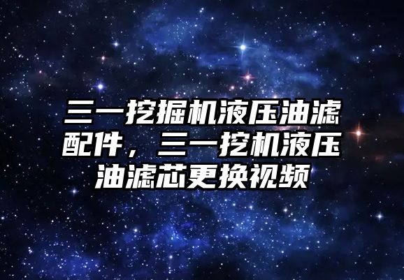 三一挖掘機(jī)液壓油濾配件，三一挖機(jī)液壓油濾芯更換視頻